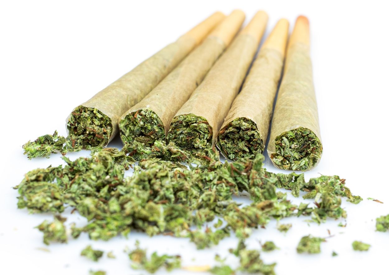 Cannabis and Fashion 4
