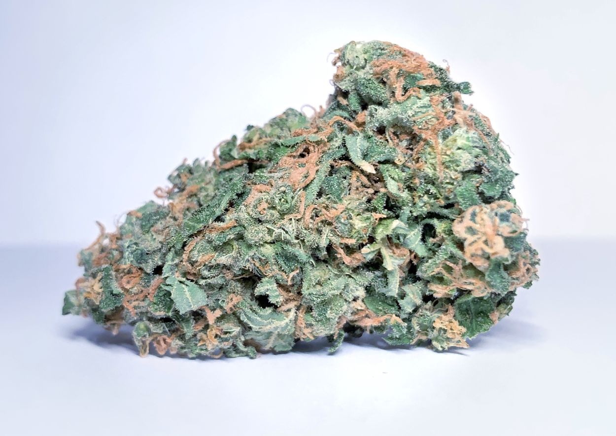 Cannabis Strain 3