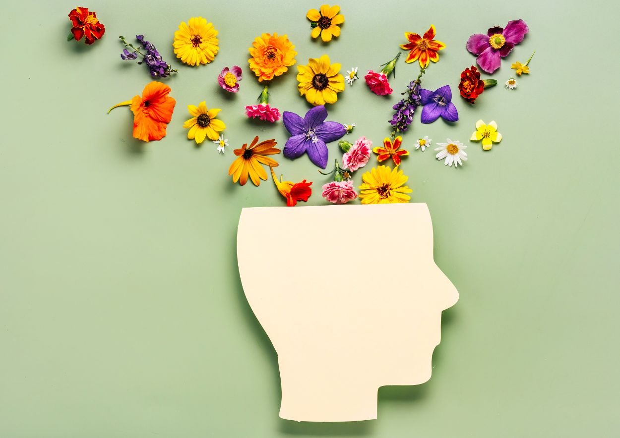 Cannabis and Mental Performance 4