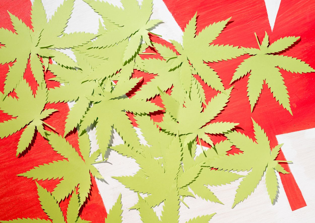 Cannabis Legalization 3