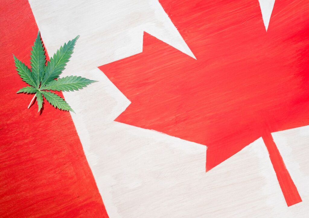 Cannabis Legalization 1