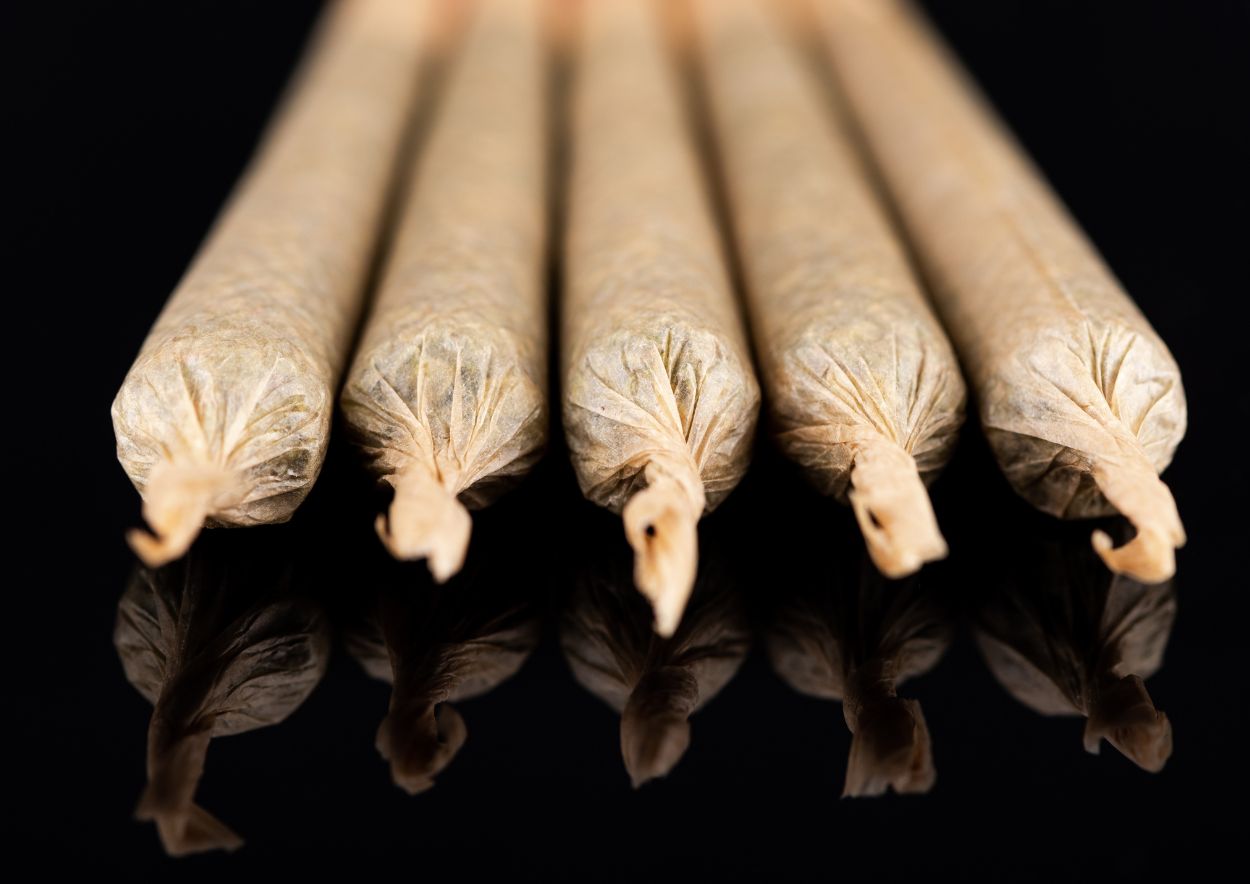 Cannabis Legalization 4