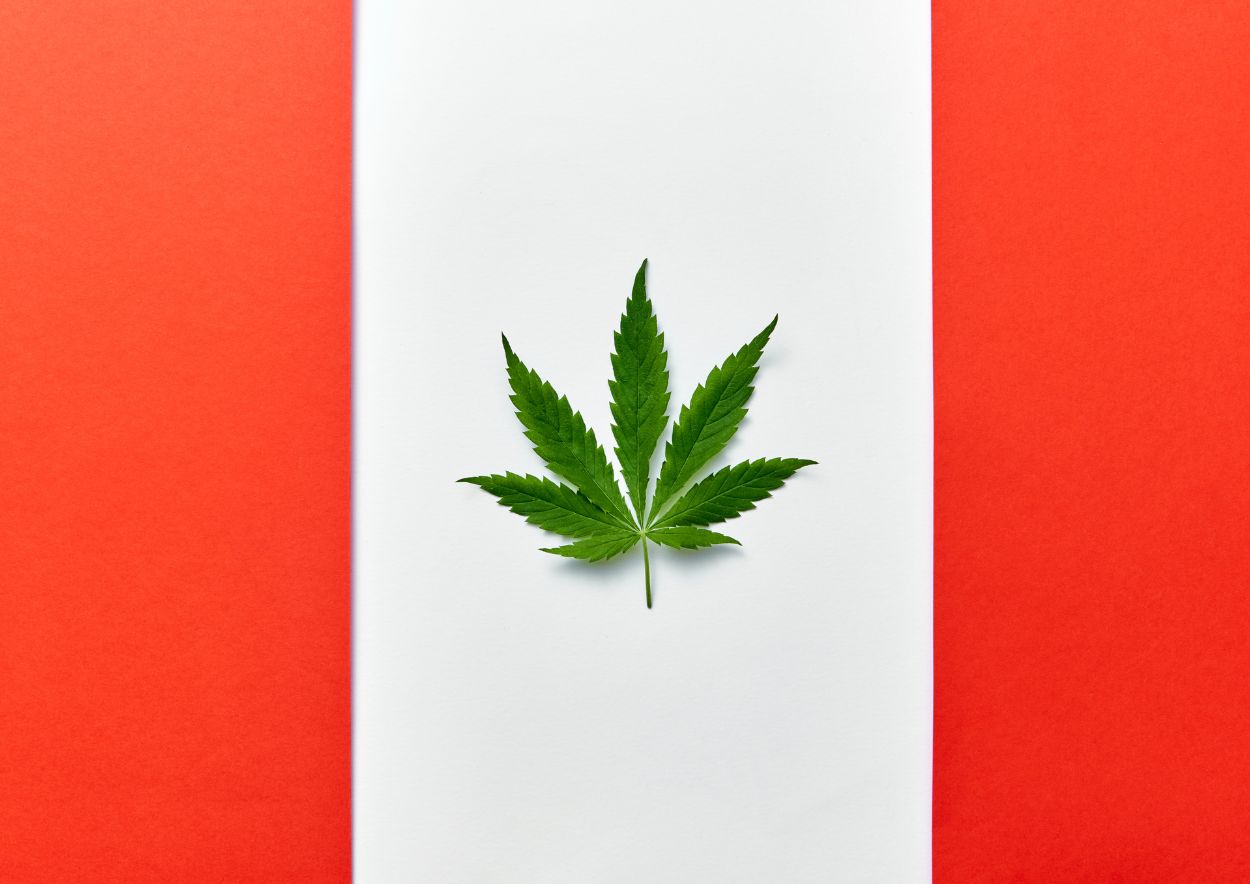 Cannabis Legalization 5