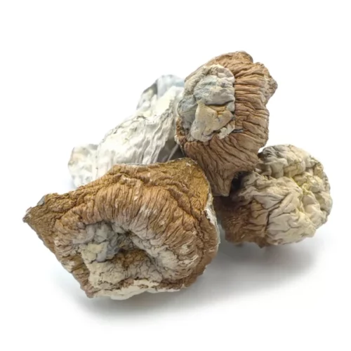 Tidal Waves Magic Mushroom