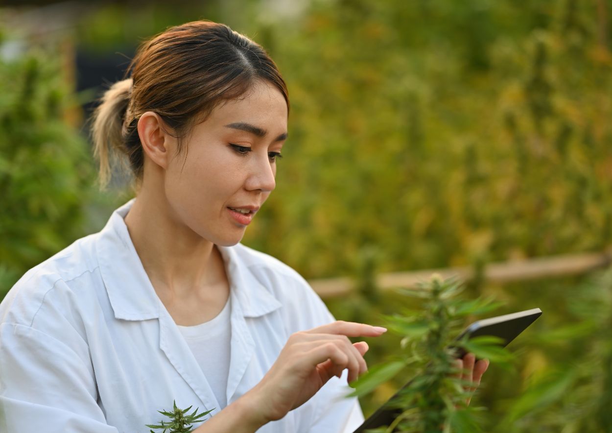 Cannabis and Technology 2