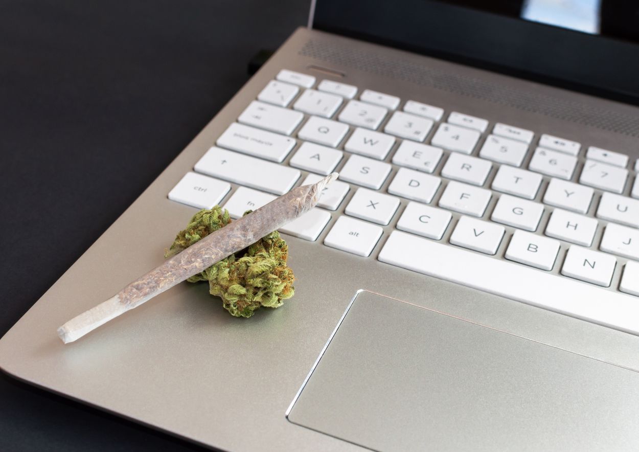 Cannabis and Technology 3