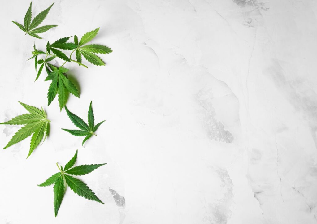 Microdosing Cannabis 1