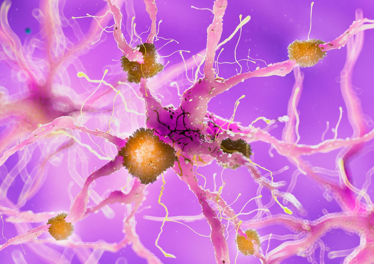 Cannabinoids and Neurological Disorders 3