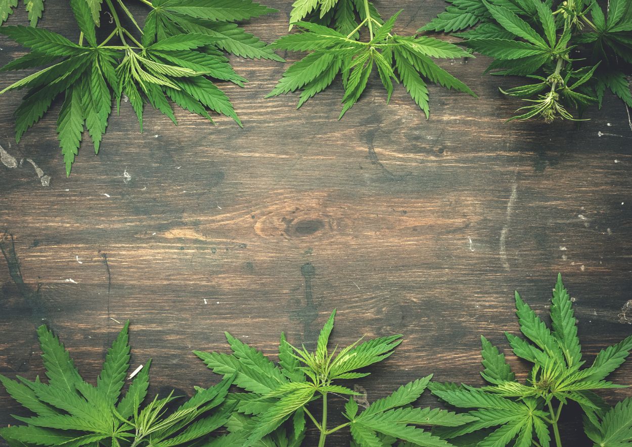 Cannabis for Athletes 4