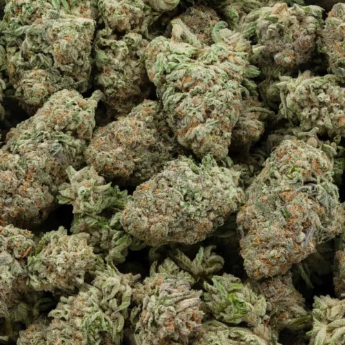 Durban Poison (AAA+)