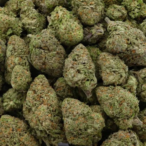Tropic Thunder (AAAA)