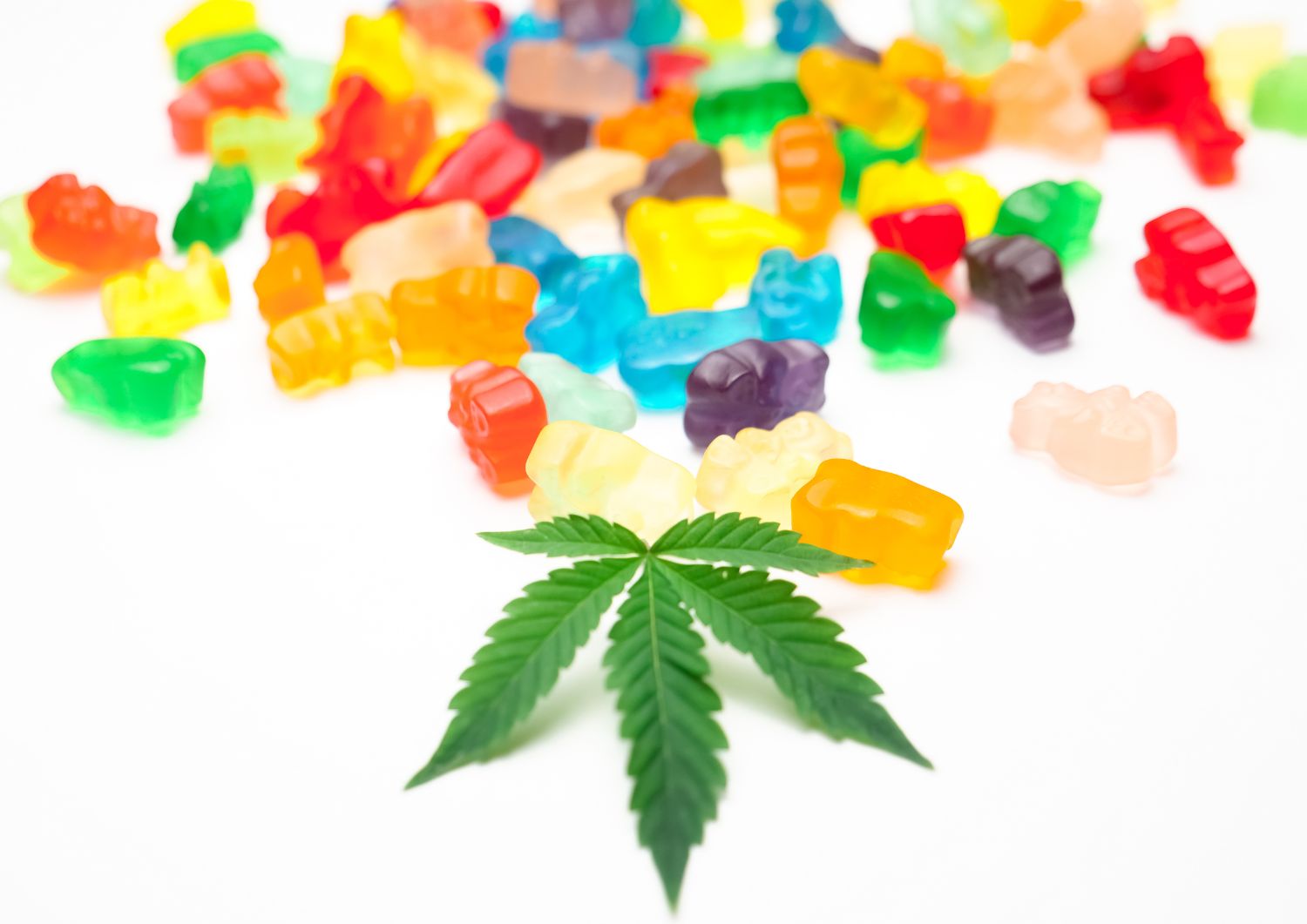 Hybrid Edibles 2