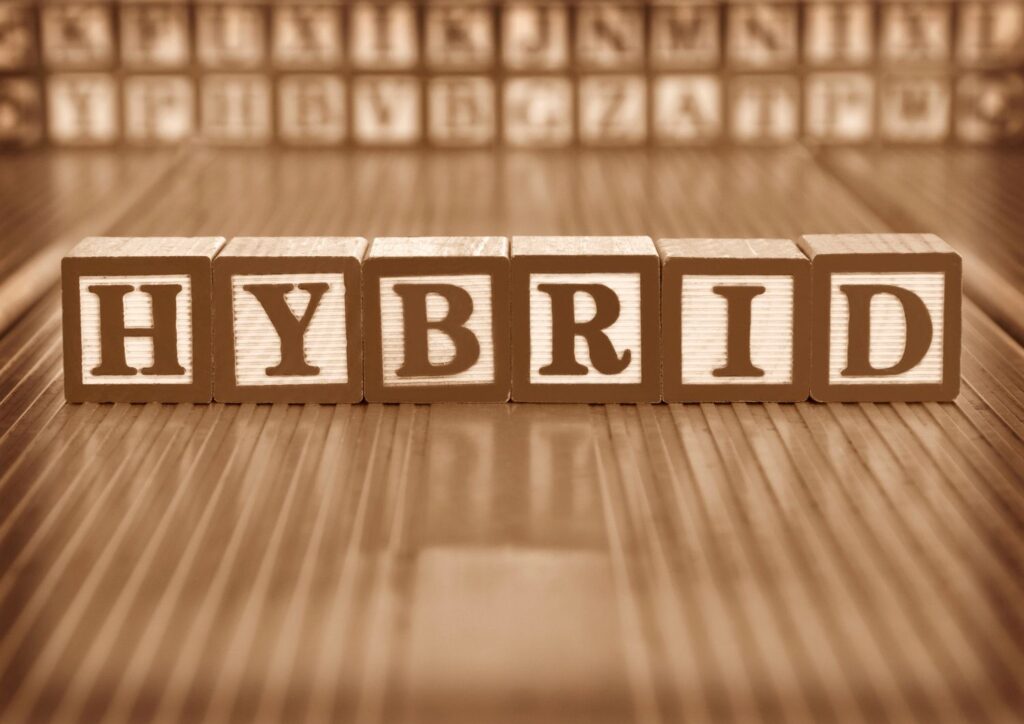 Hybrid Edibles 1