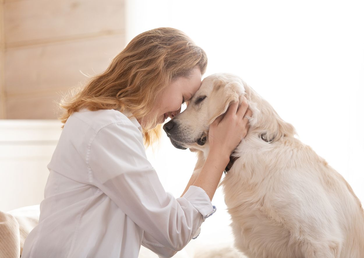 The Legal Landscape of Cannabis for Pets
