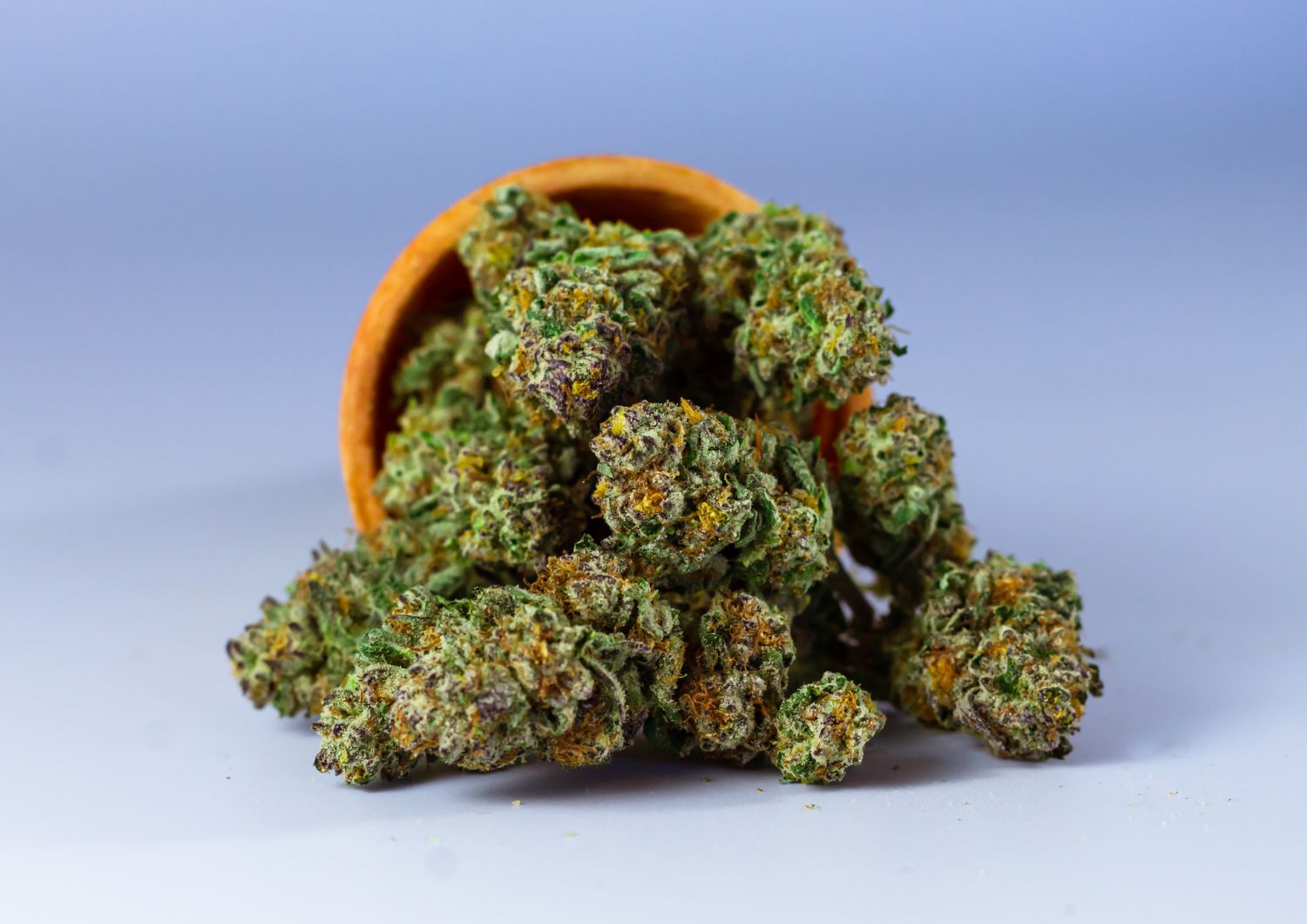 DIY Cannabis Infusions on a Dime