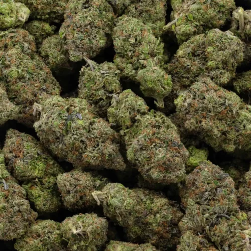 MK Ultra (AAAA)