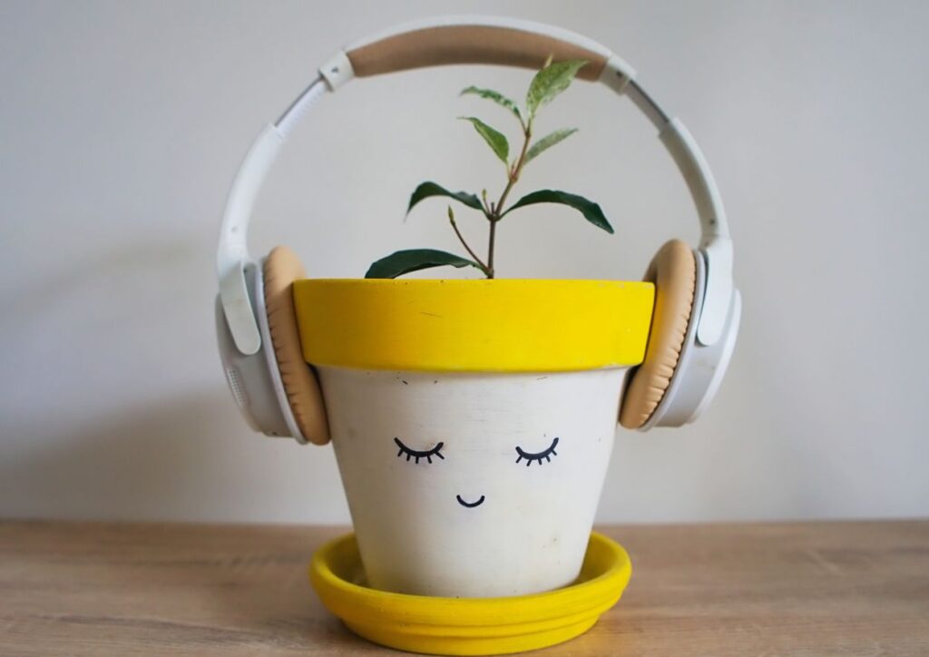 Cannabis and Music: How Different Strains Affect Sound Perception