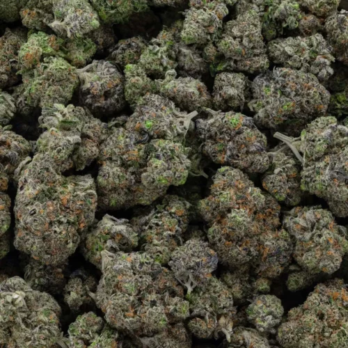 Cactus Breath (AAAA)