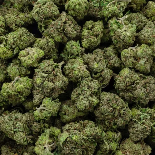 Hydro Death Bubba (AAAA)
