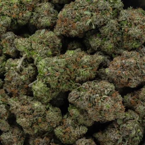 Pink Kush (AAAA)