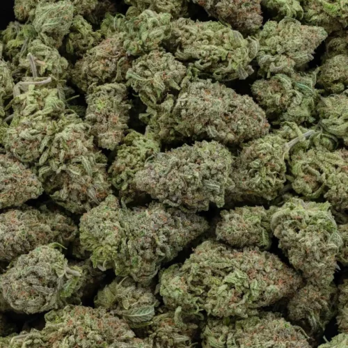 Blue Cheese (AAA+)
