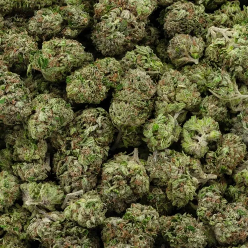 Pink Bubba (AAAA)