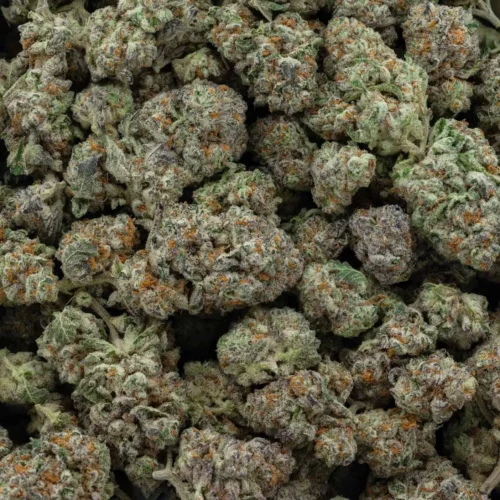 Durban Poison (AAAA)