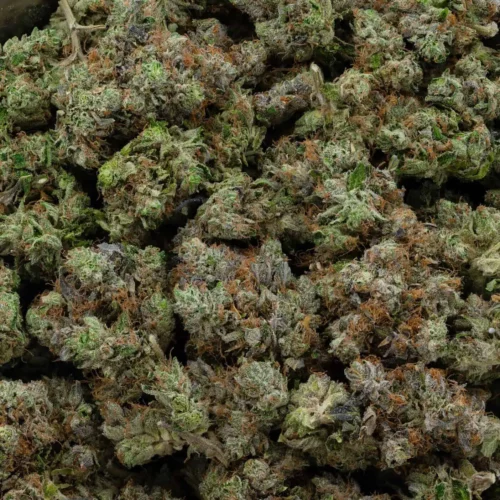 Pine Tar Kush (AAAA)