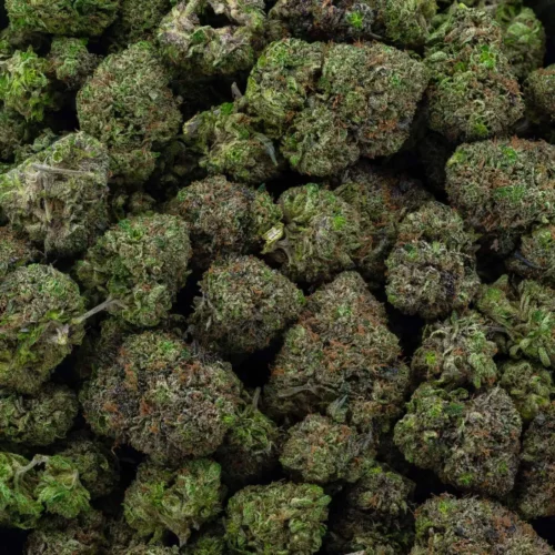 Gas Mask Bubba (AAAA+)