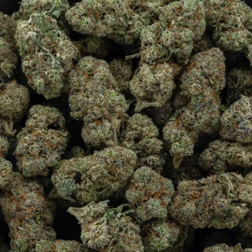 Gorilla Butter (AAAA)