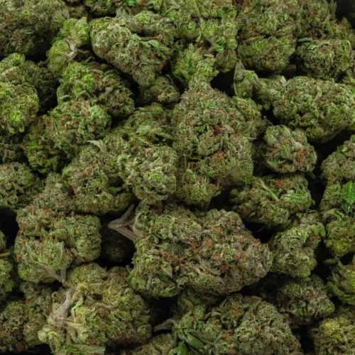 Island Pink Kush (AAAA+)