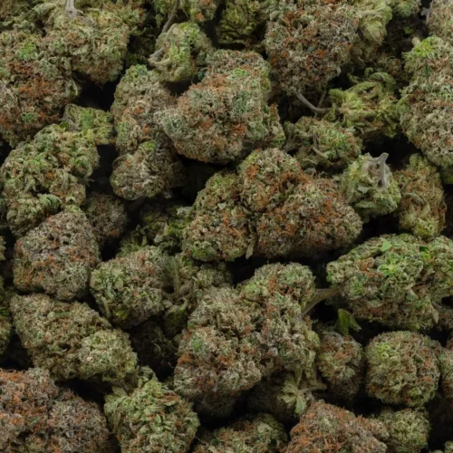 Platinum Pink (AAA)