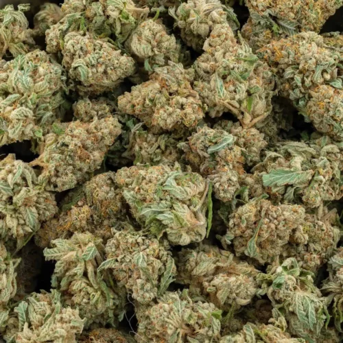 Lemon Sour Diesel (AAAA)