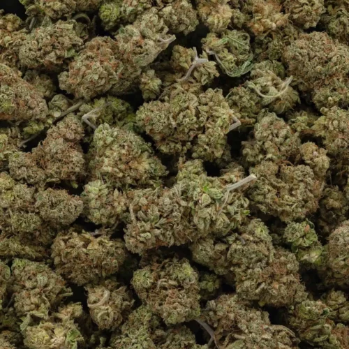 Orange Crush (AAA)