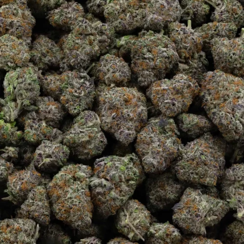Purple Crack (AAAA+)