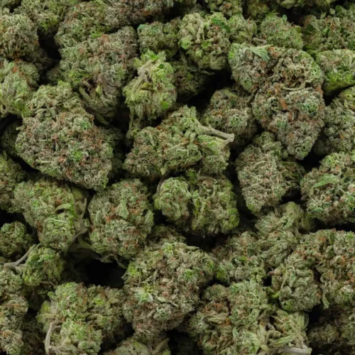Rockstar Kush (AAAA)