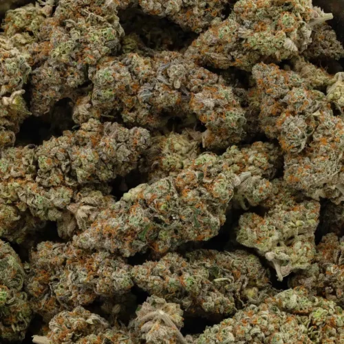 Jack Haze (AAA)
