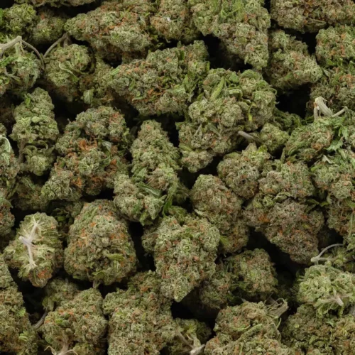 Blue Dream (AAA)
