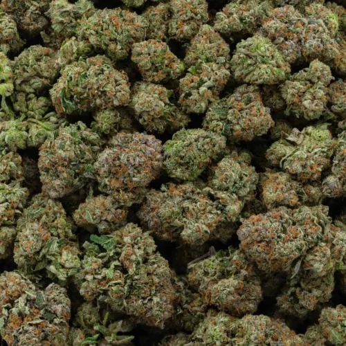 Fire OG (AAAA)