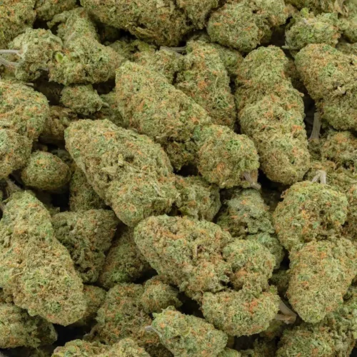 Ghost Train Haze (AAAA)