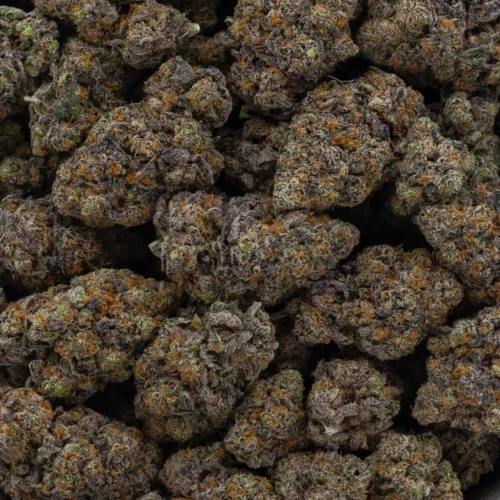 Black Cherry Pie (AAAA)