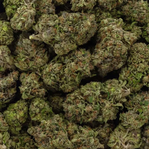 Master Bubba (AAA)
