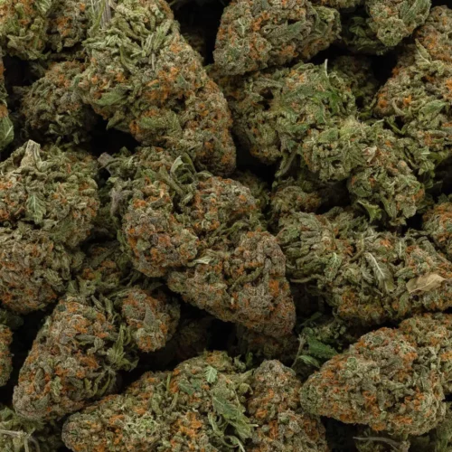 Pineapple God (AAA+)