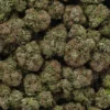 Platinum Rockstar (AAAA)