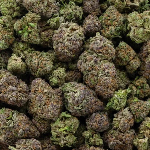 Purple Diesel (AAA-)