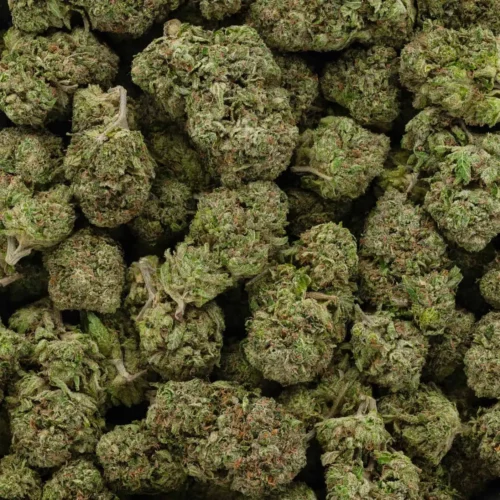Rockstar Bubba (AAAA)