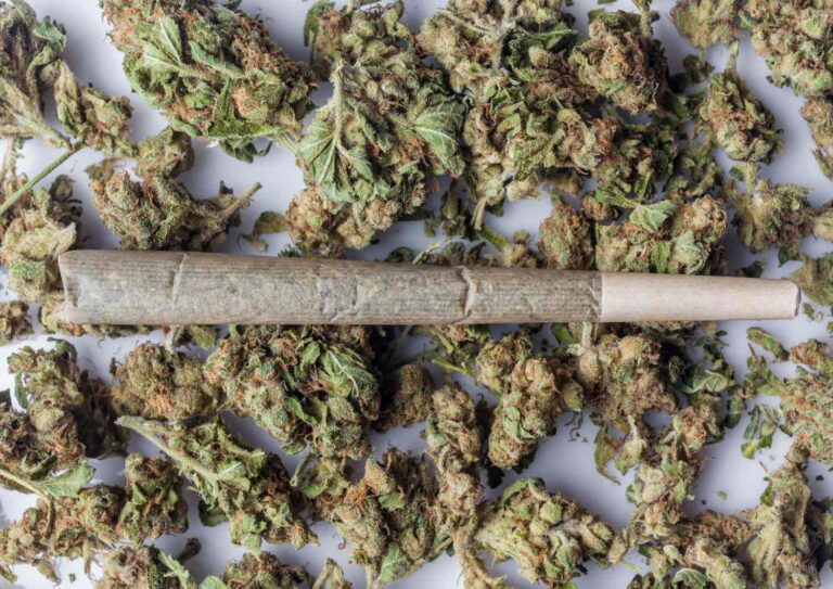 How to Stretch Your Budget with Cheap BC Bud This Month
