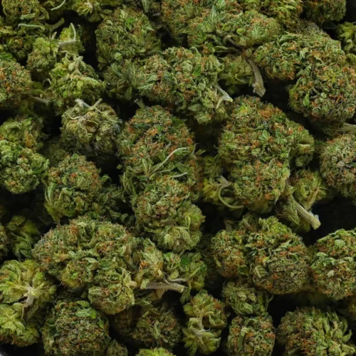 Fire Bubba (AAAA)