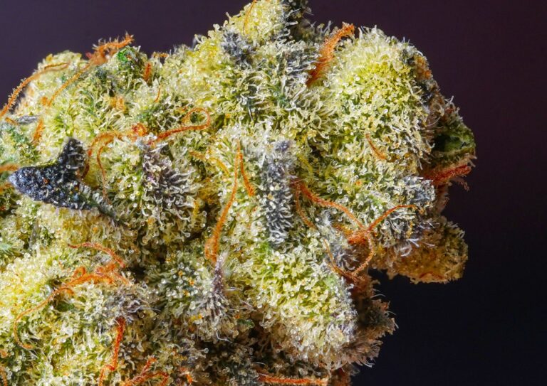 AAAA Quality Budget Picks: High-THC Options Under Premium Prices