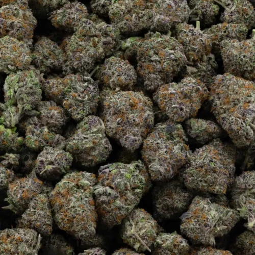 Purple Crack (AAAA+)